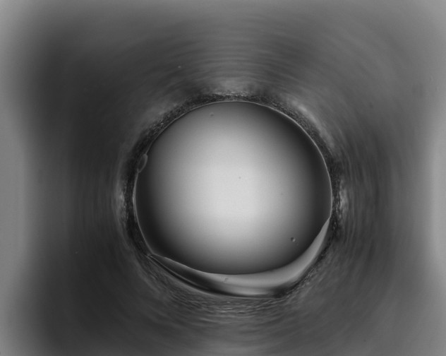 X0000094950688200712061251