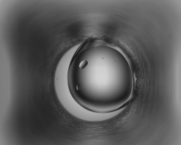 X0000094950689200712061251