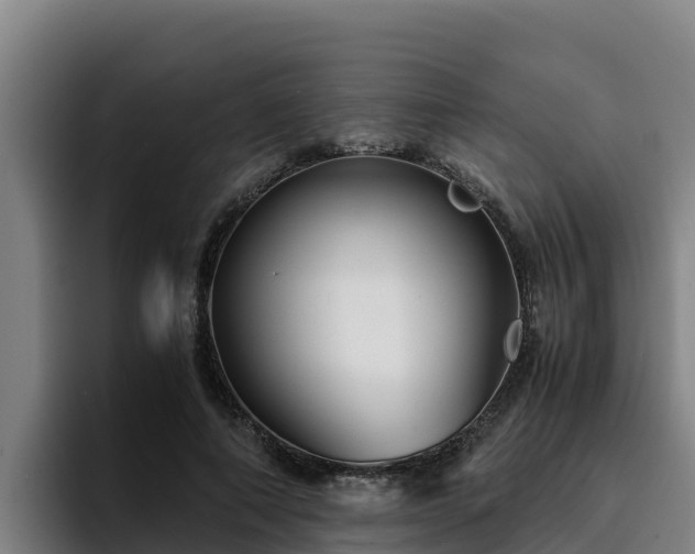 X0000094950690200712061251