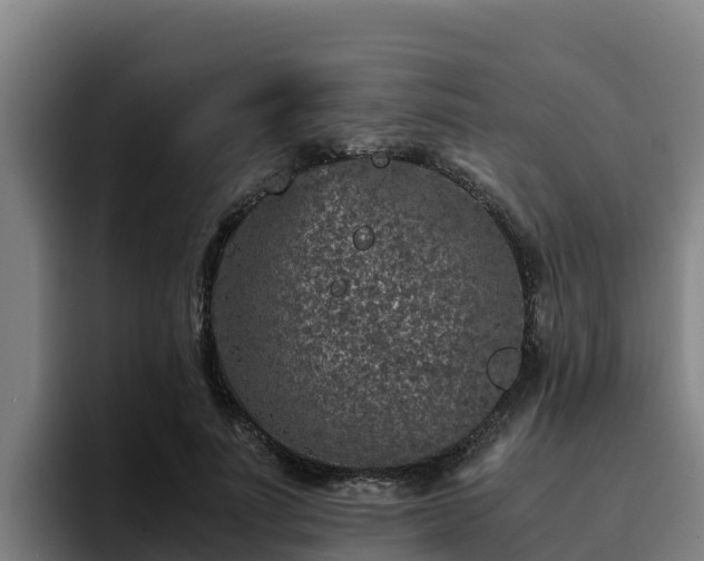 X0000094950691200712061251