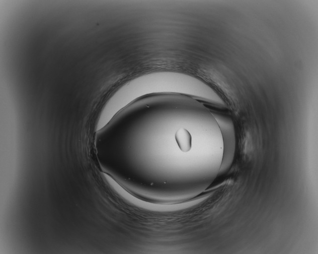 X0000094950692200712061251