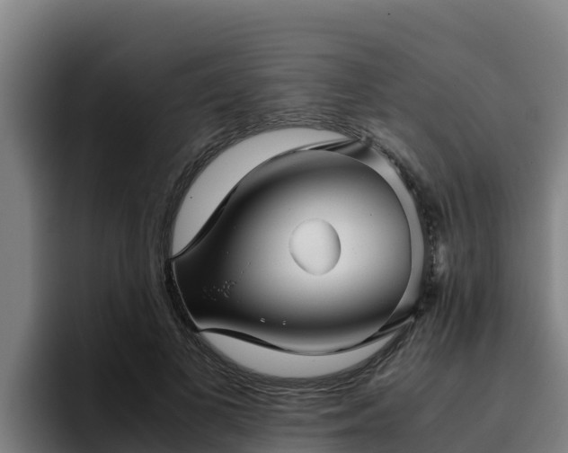 X0000094950693200712061251