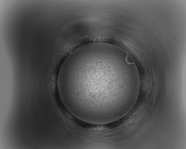 X0000094950695200712061251