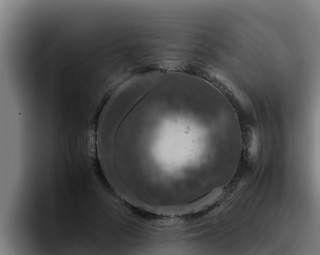 X0000094950696200712061251