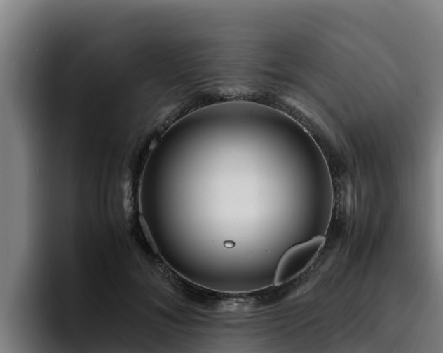 X0000094950700200712061251