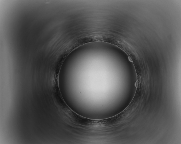 X0000094950702200712061251