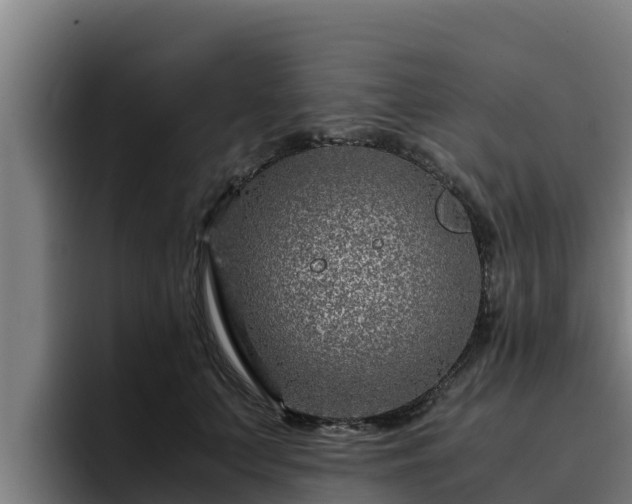 X0000094950703200712061251