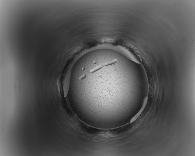 X0000094950704200712061251