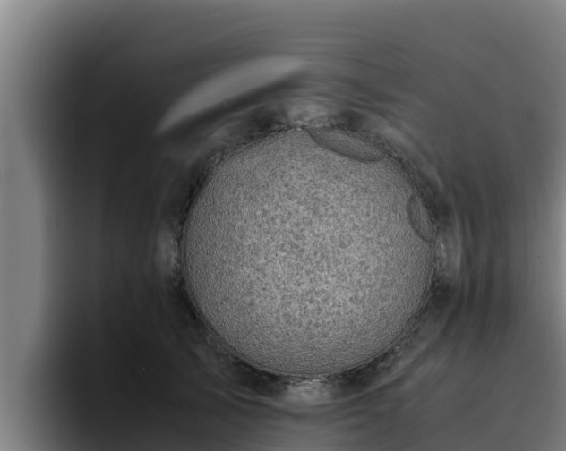 X0000094950705200712061251