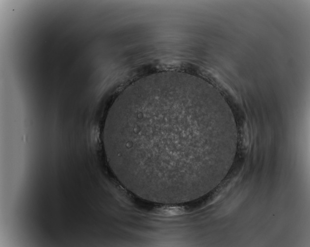 X0000094950711200712061251