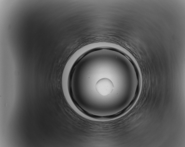 X0000094950713200712061251