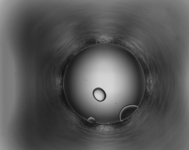 X0000094950714200712061251