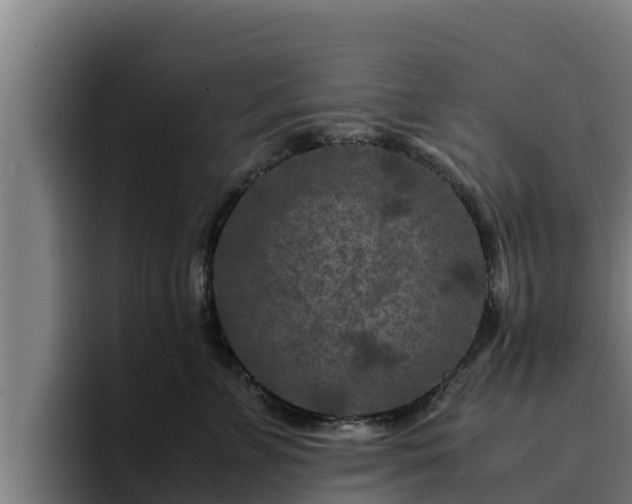 X0000094950715200712061251