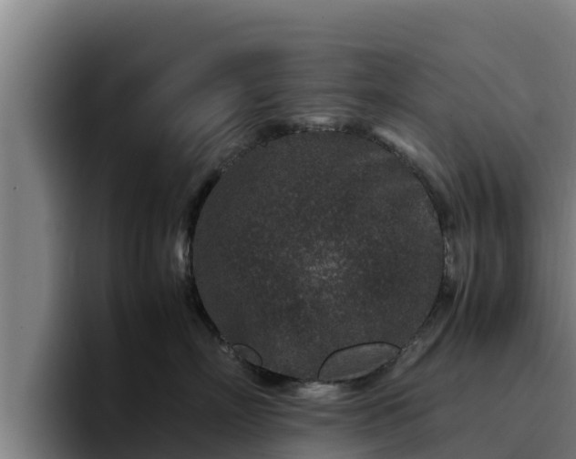 X0000094950718200712061251