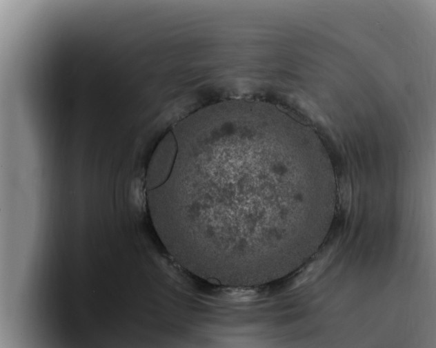 X0000094950719200712061251