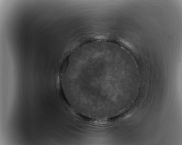 X0000094950720200712061251