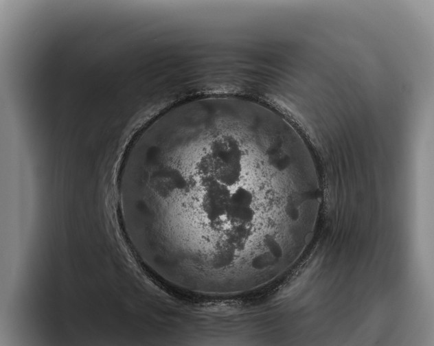 X0000094950721200712061250