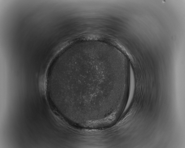 X0000094950722200712061250