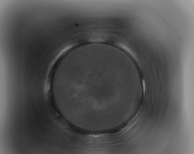 X0000094950723200712061250