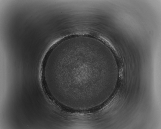 X0000094950724200712061250