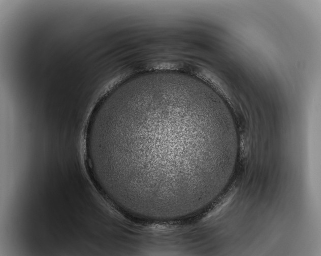 X0000094950725200712061250