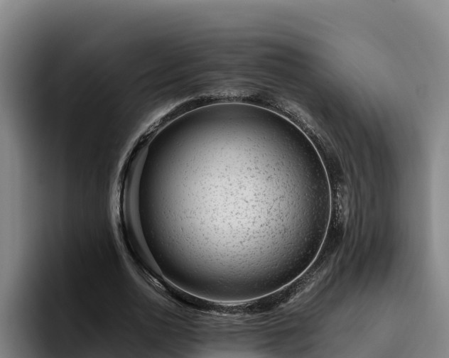 X0000094950726200712061251