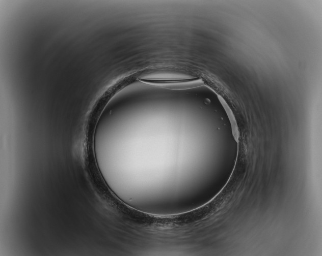 X0000094950728200712061251