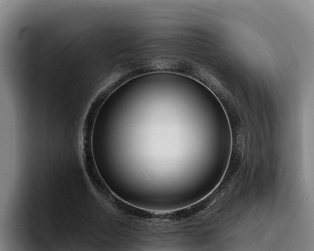 X0000094950730200712061251