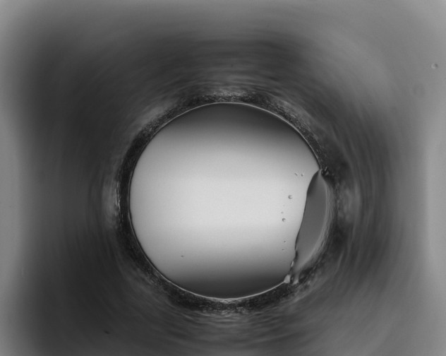 X0000094950731200712061251