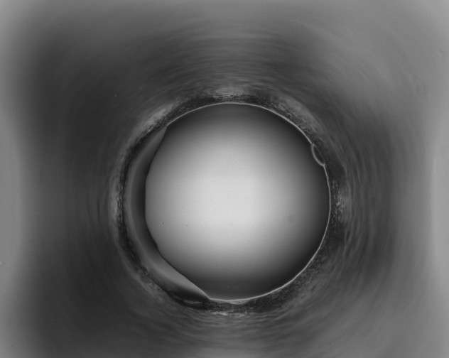 X0000094950732200712061251