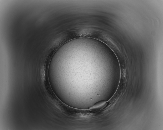 X0000094950733200712061251