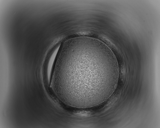 X0000094950734200712061251