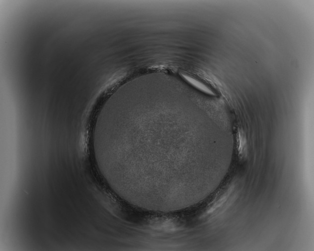 X0000094950735200712061251