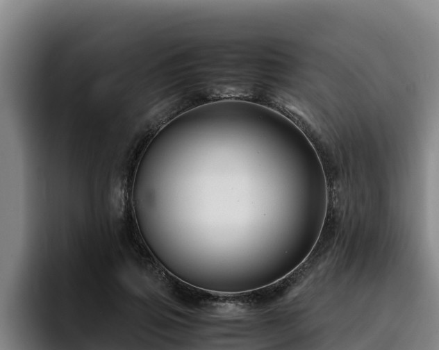 X0000094950741200712061251