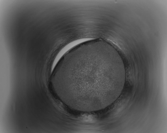 X0000094950742200712061251