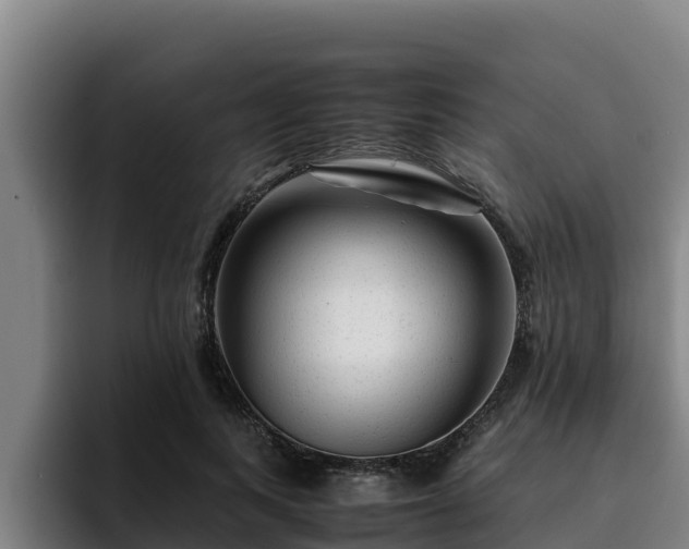 X0000094950743200712061251