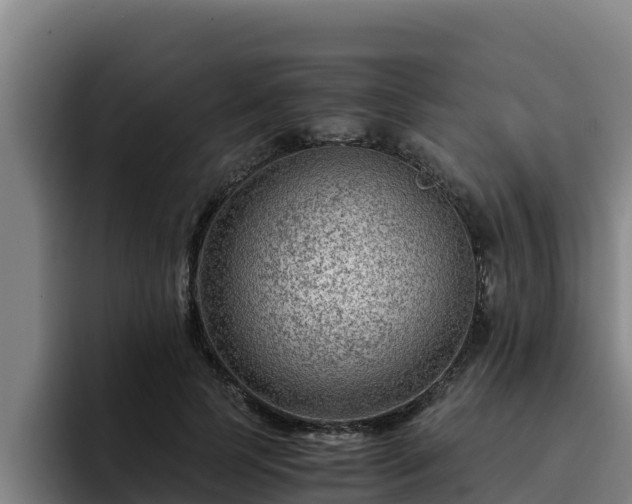 X0000094950745200712061251