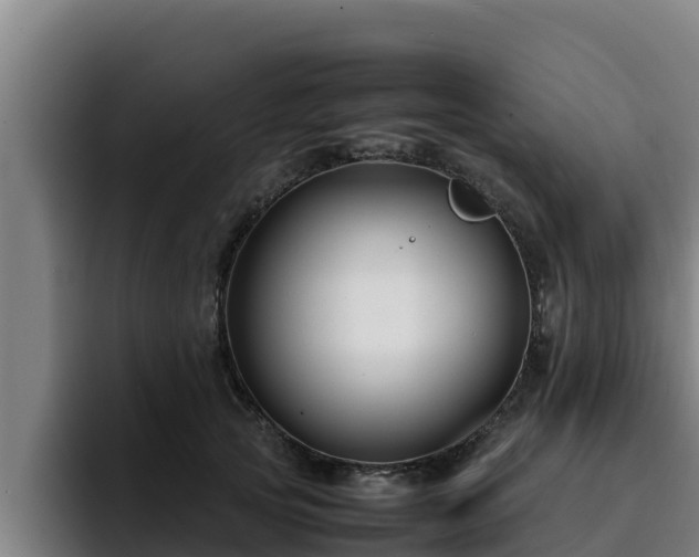 X0000094950753200712061251