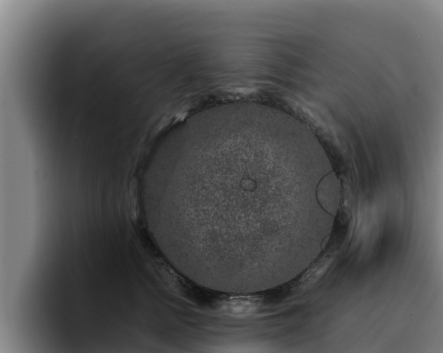 X0000094950758200712061251