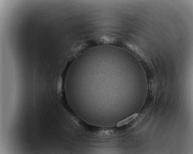 X0000094950760200712061251