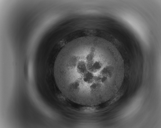 X0000094950765200712061251