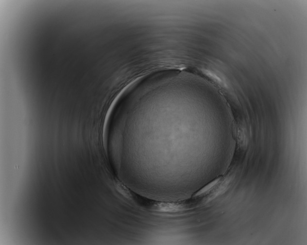 X0000094950766200712061251