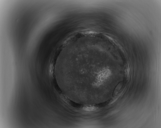 X0000094950767200712061251