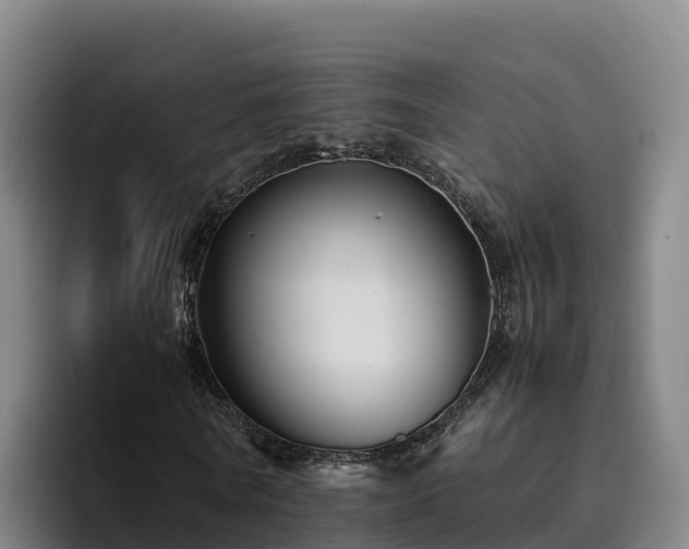 X0000094950770200712061250