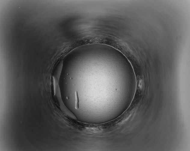 X0000094950771200712061250