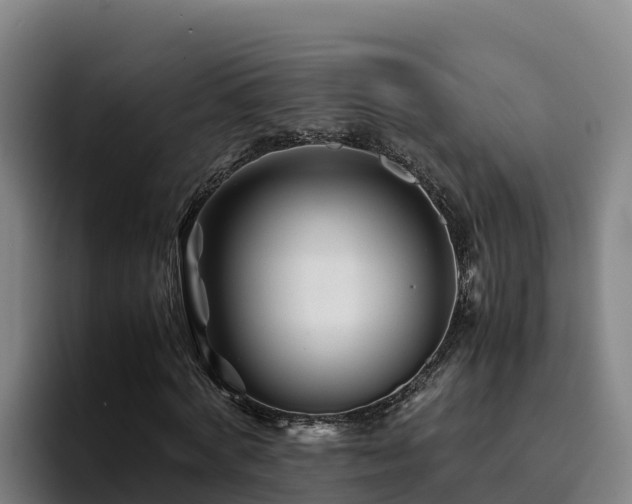 X0000094950772200712061250