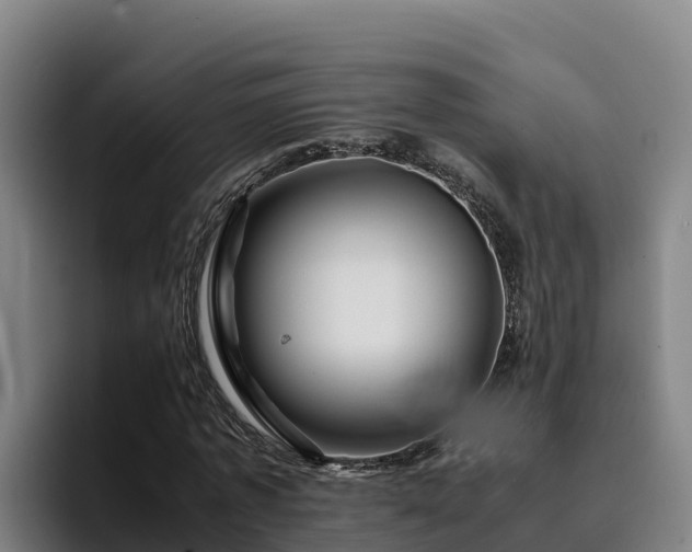 X0000094950773200712061250