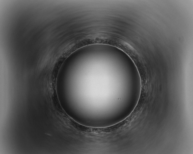 X0000094950774200712061250