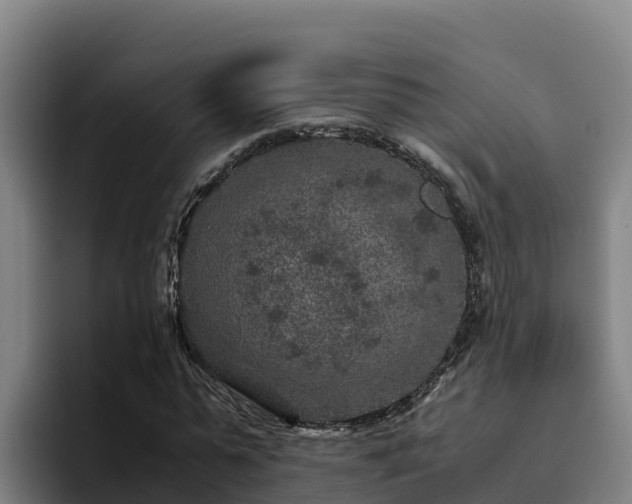 X0000094950775200712061250