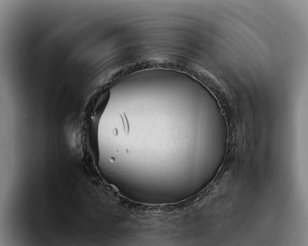 X0000094950776200712061250